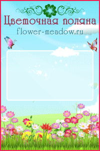 Flower-Meadow